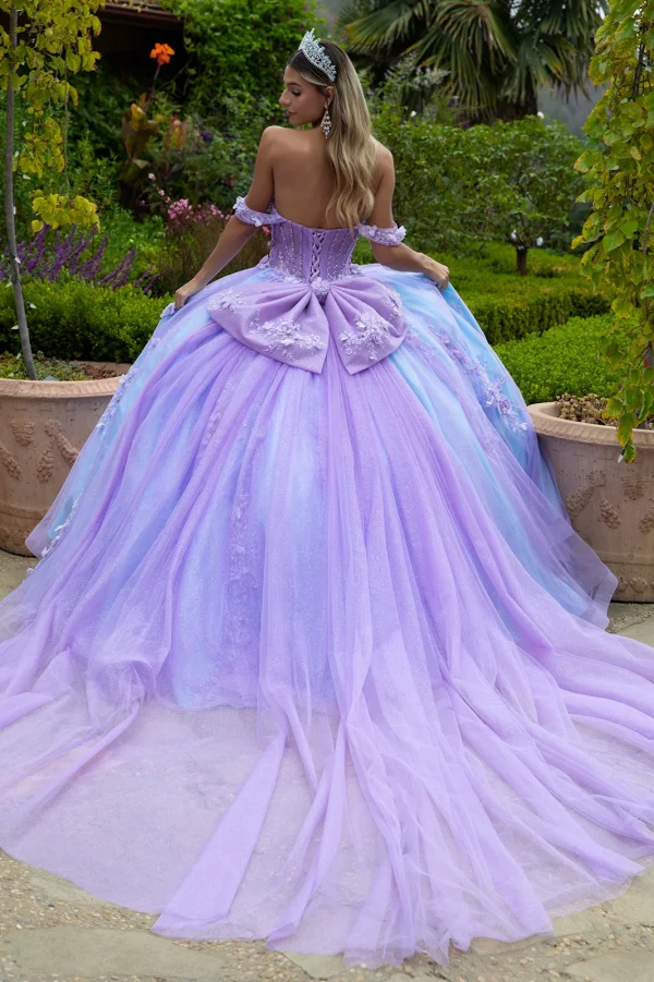 Rear View of Off-Shoulder Sweetheart Tulle Ball Gown