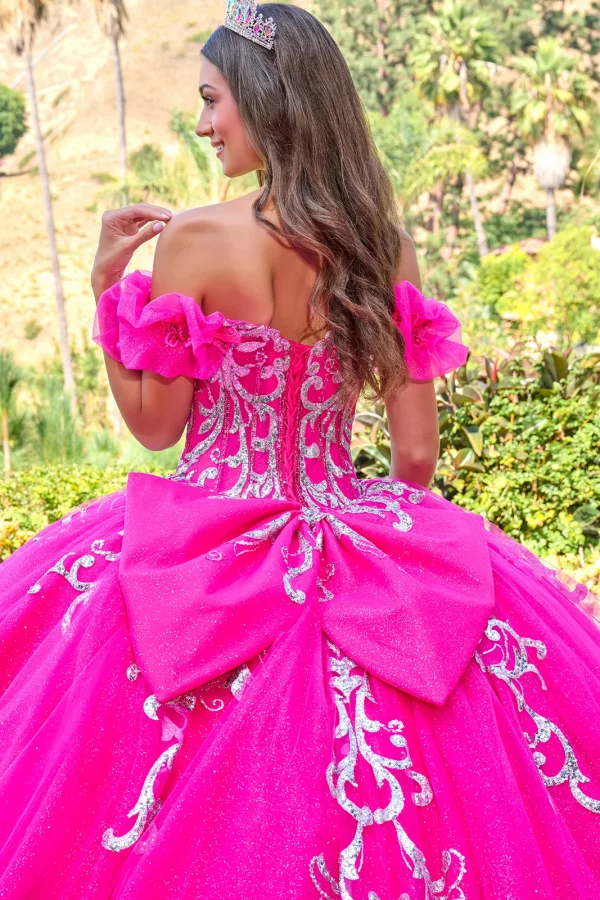 Rear View of Off-Shoulder Ball Gown with Corset Back and 3D Butterfly Appliqués