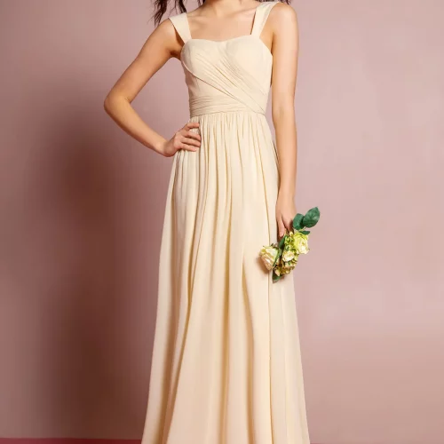 gl1386-champagne-1-floor-length-bridesmaids-chiffon-open-back-straps-zipper-straps-sweetheart-a-line