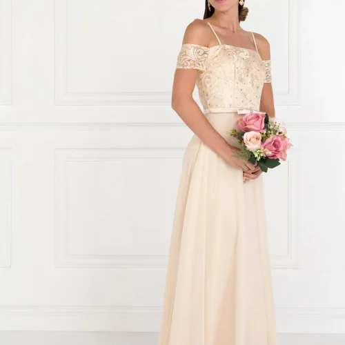 gl1521-champagne-1-long-prom-pageant-bridesmaids-mother-of-bride-gala-red-carpet-chiffon-lace-jewel-open-back-zipper-spaghetti-strap-straight-across-a-line
