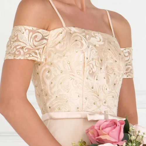 gl1521-champagne-3-long-prom-pageant-bridesmaids-mother-of-bride-gala-red-carpet-chiffon-lace-jewel-open-back-zipper-spaghetti-strap-straight-across-a-line
