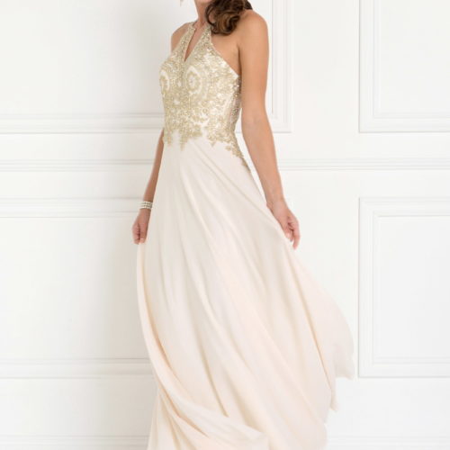 gl1526-champagne-1-floor-length-prom-pageant-bridesmaids-mother-of-bride-gala-red-carpet-chiffon-embroidery-jewel-open-back-zipper-v-back-sleeveless-high-neck-a-line