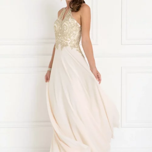 gl1526-champagne-1-floor-length-prom-pageant-bridesmaids-mother-of-bride-gala-red-carpet-chiffon-embroidery-jewel-open-back-zipper-v-back-sleeveless-high-neck-a-line