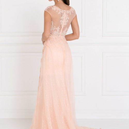 gl1539-blush-2-long-prom-pageant-wedding-gowns-mother-of-bride-gala-red-carpet-lace-beads-embroidery-jewel-sheer-back-zipper-cap-sleeve-scoop-neck-a-line
