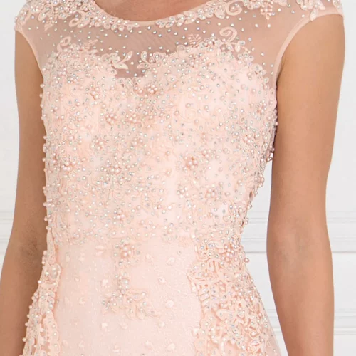 gl1539-blush-3-long-prom-pageant-wedding-gowns-mother-of-bride-gala-red-carpet-lace-beads-embroidery-jewel-sheer-back-zipper-cap-sleeve-scoop-neck-a-line