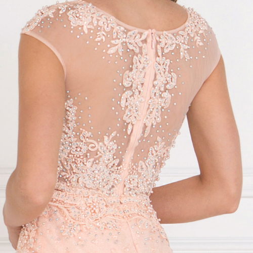 gl1539-blush-4-long-prom-pageant-wedding-gowns-mother-of-bride-gala-red-carpet-lace-beads-embroidery-jewel-sheer-back-zipper-cap-sleeve-scoop-neck-a-line