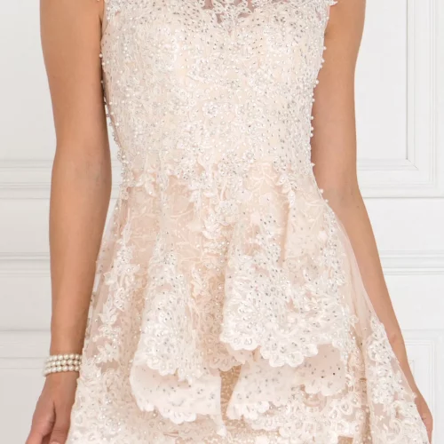 gl1584-champagne-3-tail-prom-pageant-wedding-gowns-mother-of-bride-gala-red-carpet-lace-beads-jewel-sheer-back-zipper-sleeveless-boat-neck-mermaid-trumpet