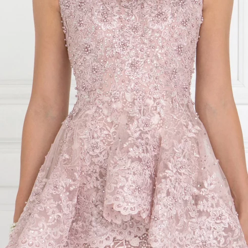 gl1584-dusty-rose-4-tail-prom-pageant-wedding-gowns-mother-of-bride-gala-red-carpet-lace-beads-jewel-sheer-back-zipper-sleeveless-boat-neck-mermaid-trumpet