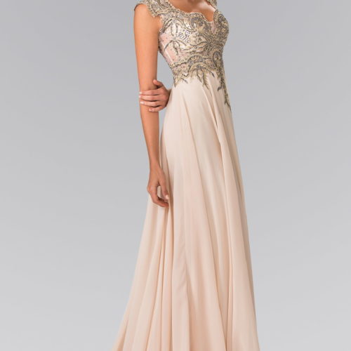 gl2229-champagne-1-long-prom-pageant-mother-of-bride-gala-red-carpet-chiffon-embroidery-sheer-back-covered-back-sleeveless-scoop-neck-a-line
