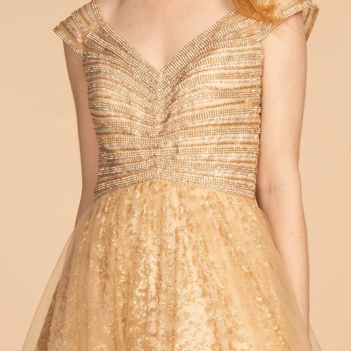 gl2526-gold-3-floor-length-prom-pageant-gala-red-carpet-mesh-jewel-glitter-zipper-v-back-cap-sleeve-v-neck-ball-gown
