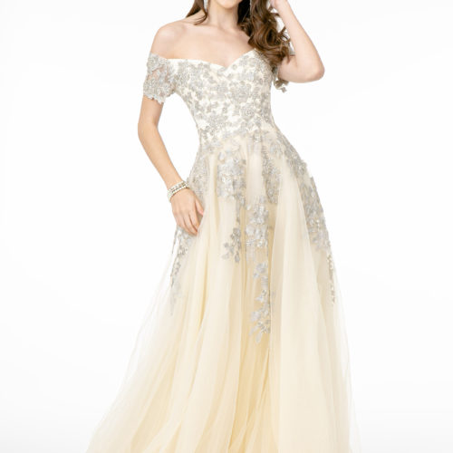 champagne floor length mesh embroidered dress