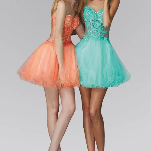 gs2030-tiffany-1-short-homecoming-cocktail-tulle-embroidery-jewel-open-back-straps-zipper-straps-sweetheart-babydoll