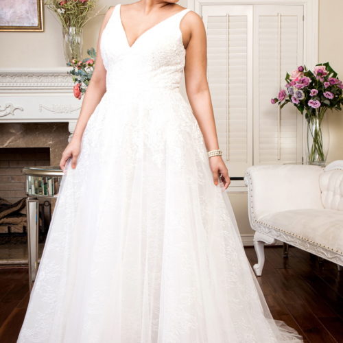 Ivory V-Neck Embroidered Wedding Gown