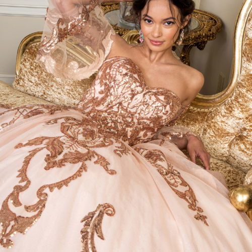 Champagne Embroidered Quinceanera Gown