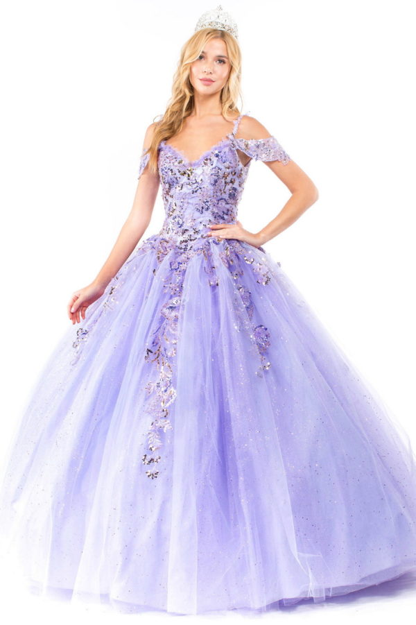 Beads, sequins and embroidery decorated sweetheart quinceanera ball gown
