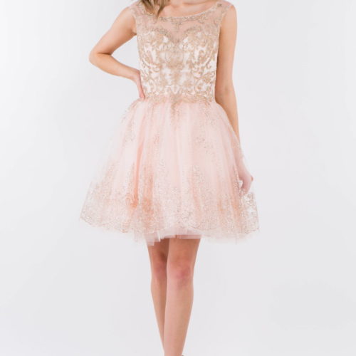 gs1964-blush-1-short-homecoming-cocktail-new-arrivals-mesh-embroidery-jewel-glitter-sheer-zipper-straps-scoop-neck-babydoll