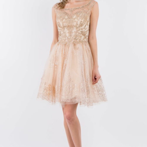 gs1964-champagne-1-short-homecoming-cocktail-new-arrivals-mesh-embroidery-jewel-glitter-sheer-zipper-straps-scoop-neck-babydoll