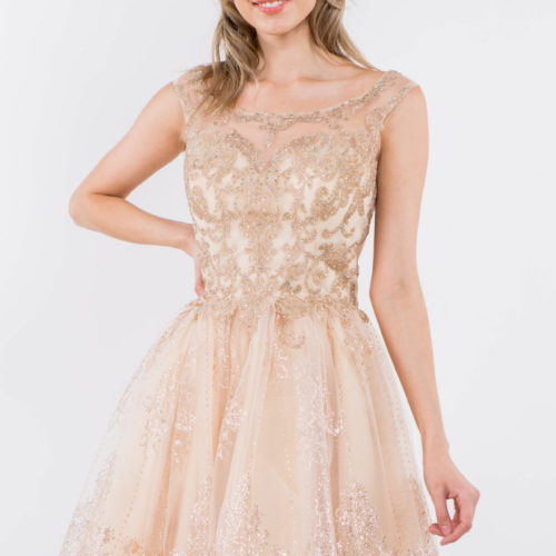 gs1964-champagne-2-short-homecoming-cocktail-new-arrivals-mesh-embroidery-jewel-glitter-sheer-zipper-straps-scoop-neck-babydoll