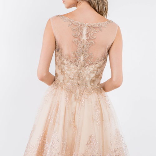gs1964-champagne-4-short-homecoming-cocktail-new-arrivals-mesh-embroidery-jewel-glitter-sheer-zipper-straps-scoop-neck-babydoll