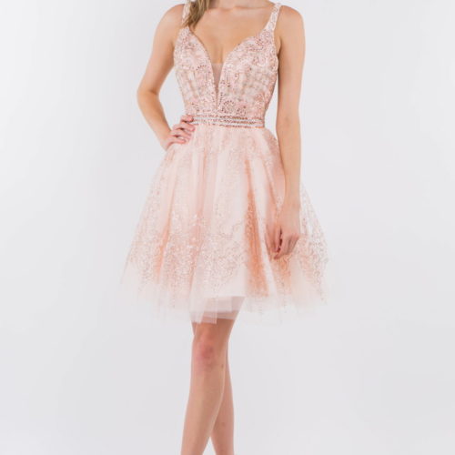 gs1965-blush-1-short-homecoming-cocktail-new-arrivals-mesh-embroidery-jewel-glitter-straps-zipper-straps-v-neck-babydoll
