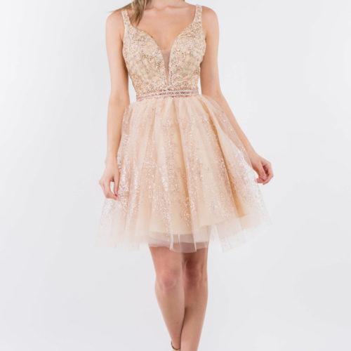 gs1965-champagne-1-short-homecoming-cocktail-new-arrivals-mesh-embroidery-jewel-glitter-straps-zipper-straps-v-neck-babydoll