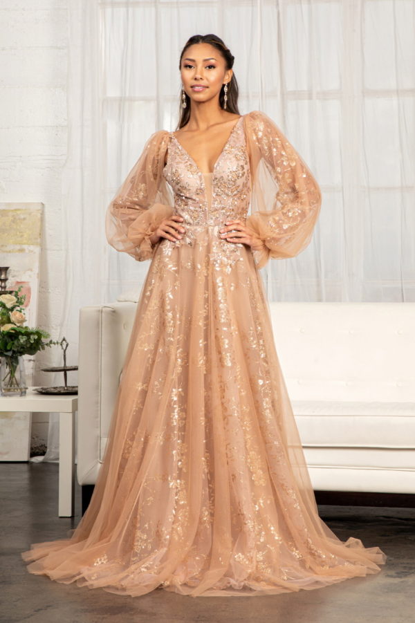 Sienna glitter netting sequin decorated v- back long sleeve floor length dress