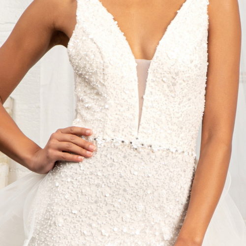 gl3014-ivory-champagne-d1-long-wedding-gowns-mesh-applique-beads-jewel-sequin-sheer-open-zipper-v-back-straps-illusion-v-neck-mermaid.jpg