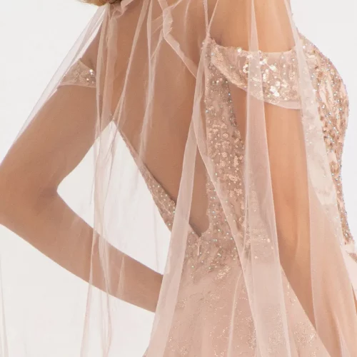 gl3070-blush-d2-long-prom-pageant-mother-of-bride-mesh-glitter-netting-beads-embroidery-sequin-glitter-open-zipper-v-back-spaghetti-strap-illusion-v-neck-a-line