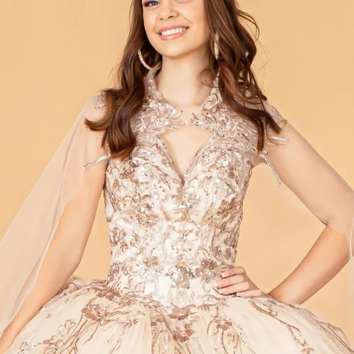 gl3076-champagne-d3-floor-length-quinceanera-mesh-embroidery-sequin-glitter-zipper-corset-sleeveless-v-neck-ball-gown