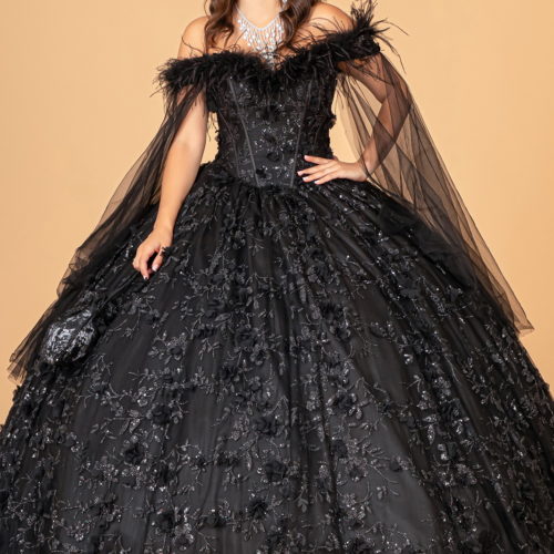 ball gown with crown with black feathers