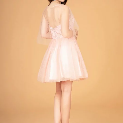 gs3089-blush-2-short-homecoming-cocktail-mesh-applique-embroidery-sequin-glitter-open-zipper-spaghetti-strap-illusion-sweetheart-babydoll