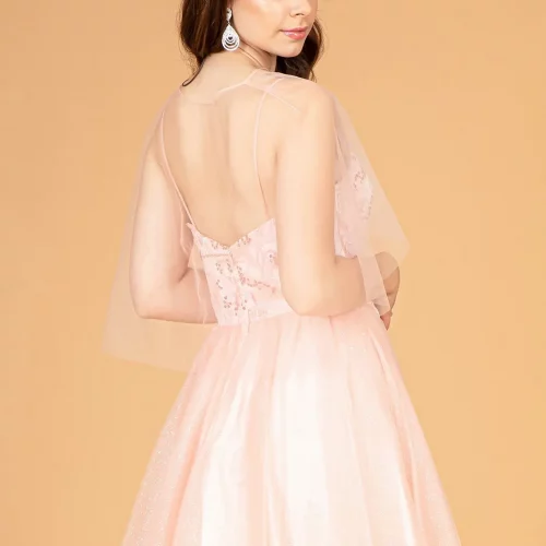 gs3089-blush-d2-short-homecoming-cocktail-mesh-applique-embroidery-sequin-glitter-open-zipper-spaghetti-strap-illusion-sweetheart-babydoll