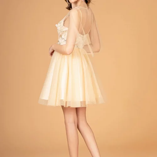 gs3089-champagne-2-short-homecoming-cocktail-mesh-applique-embroidery-sequin-glitter-open-zipper-spaghetti-strap-illusion-sweetheart-babydoll
