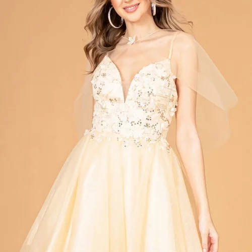 gs3089-champagne-d1-short-homecoming-cocktail-mesh-applique-embroidery-sequin-glitter-open-zipper-spaghetti-strap-illusion-sweetheart-babydoll