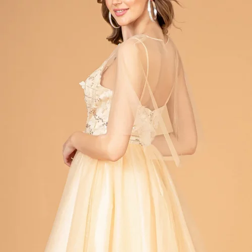 gs3089-champagne-d2-short-homecoming-cocktail-mesh-applique-embroidery-sequin-glitter-open-zipper-spaghetti-strap-illusion-sweetheart-babydoll