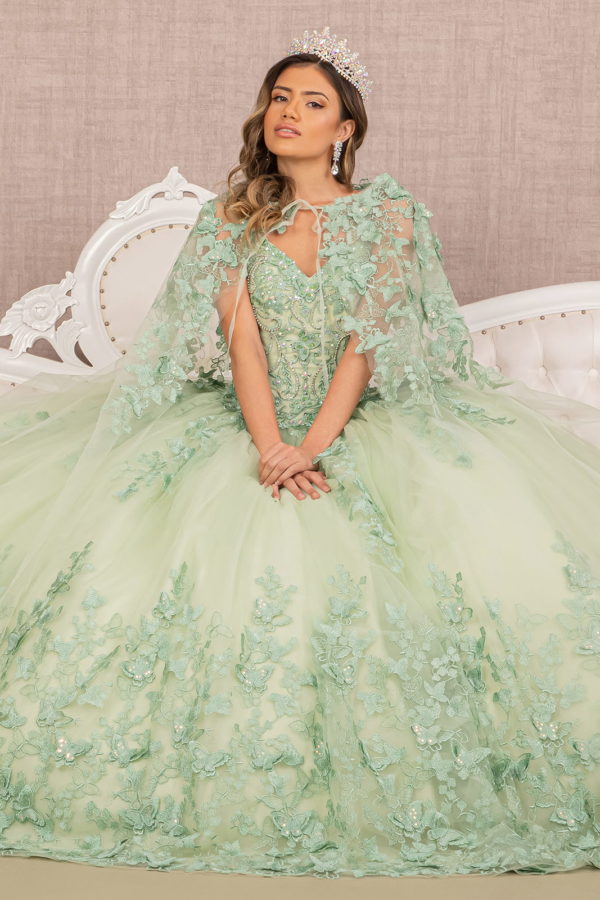 Quinceañera Gown w/ Butterfly Appliques