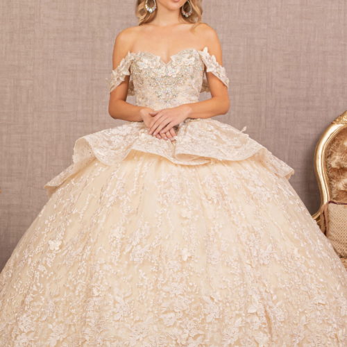 lady in champagne mesh embroidered off shoulder ball gown