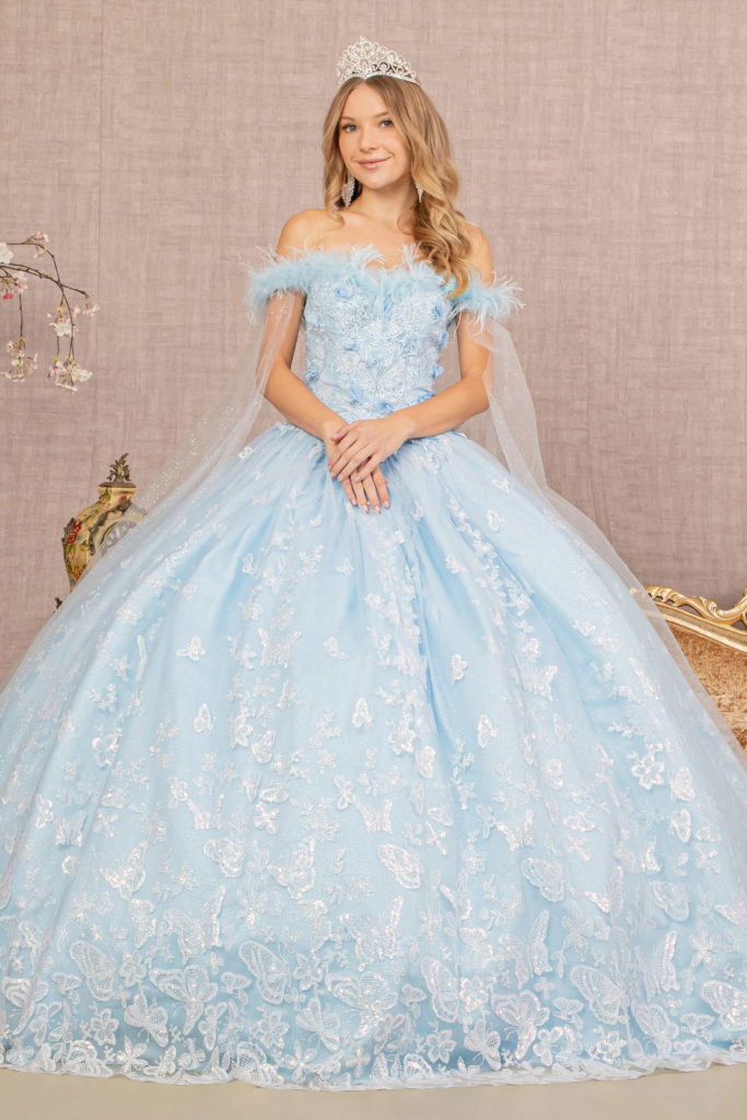 baby blue mesh ball gown
