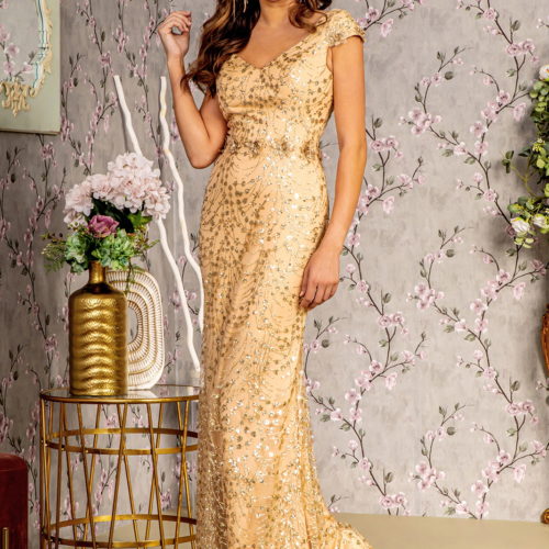 gl3414-champagne-1-long-mother-of-bride-mesh-applique-sequin-glitter-covered-zipper-v-back-cap-sleeve-sweetheart-mermaid
