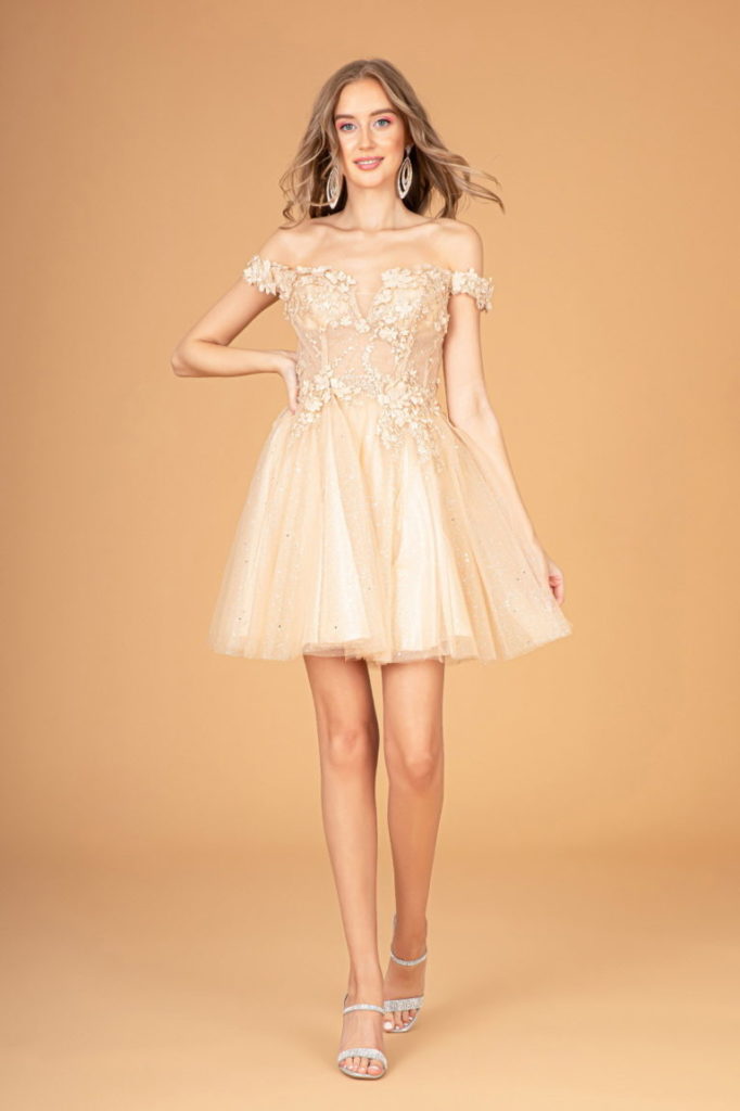 champagne mesh applique sweetheart babydoll short dress