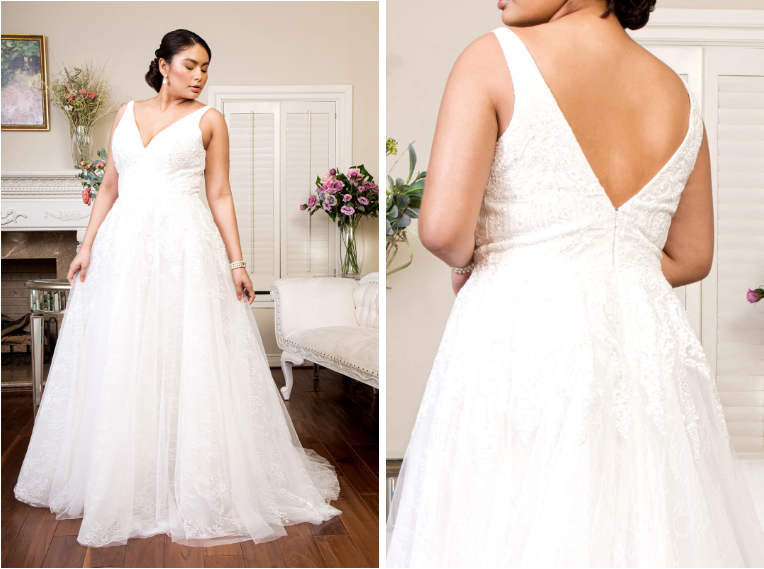 V-Neck Embroidered Mesh Wedding Gown with Lace Lining