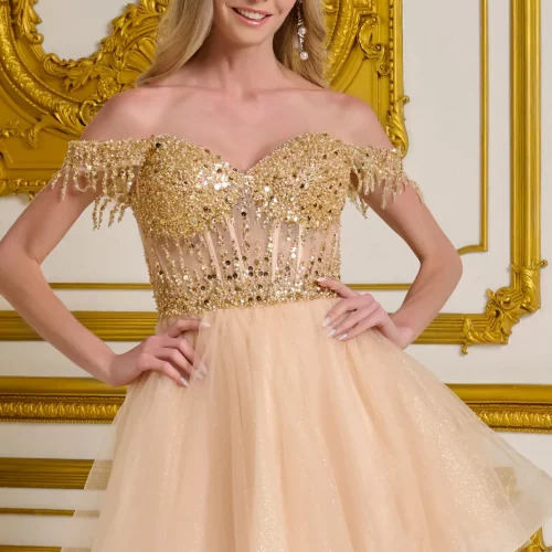 GS3634_CHAMPAGNE_D1