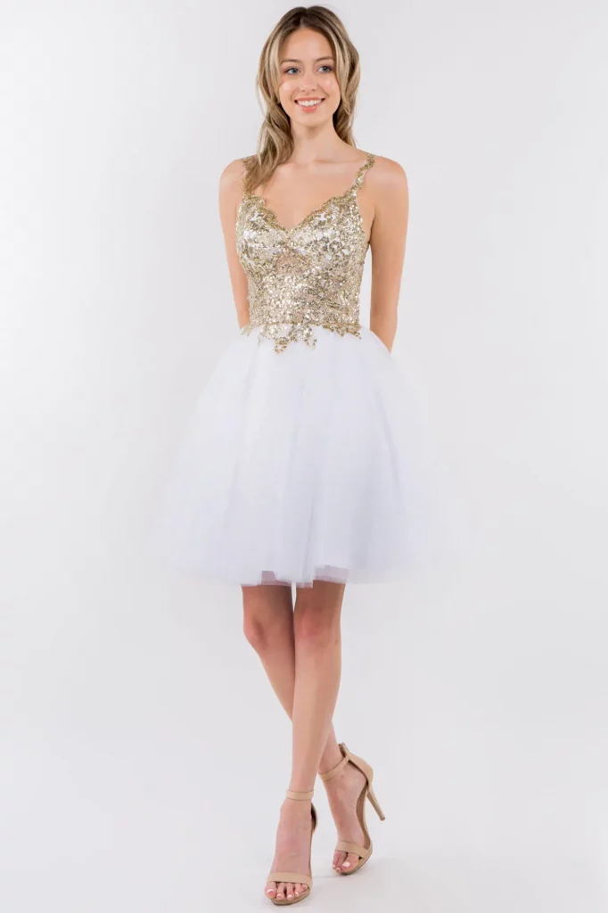 Sequin and Glitter Embellished Sheer Bodice V-Neck Short Dress Front View
