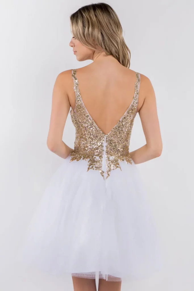 Sequin and Glitter Embellished Sheer Bodice V-Neck Short Dress Back View