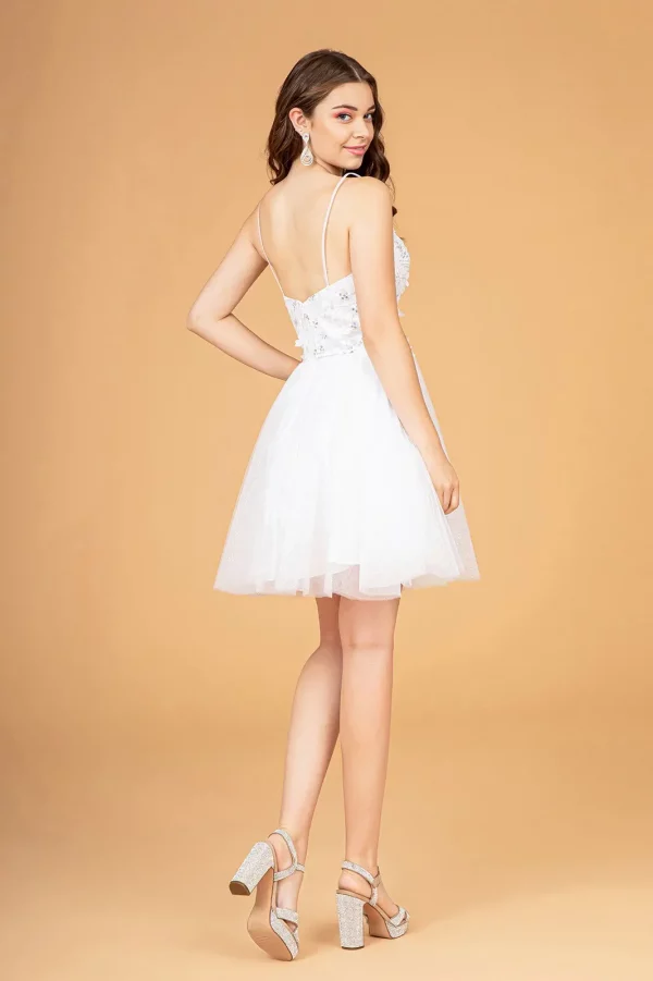 Rear View of Mesh Short Dress