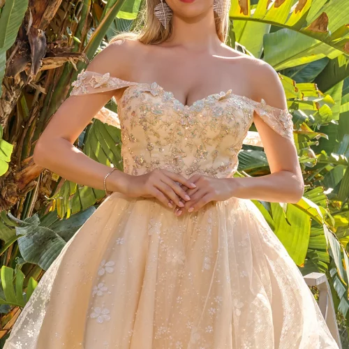 gs3685-champagne-d1-short-homecoming-cocktail-new-arrivals-mesh-applique-embroidery-jewel-sequin-glitter-corset-off-shoulder-v-neck-a-line gs3685-champagne-d1-short-homecoming-cocktail-new-arrivals-mesh-applique-embroidery-jewel-sequin-glitter-corset-off-shoulder-v-neck-a-line