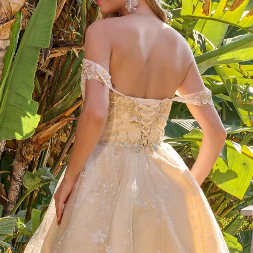 gs3685-champagne-d2-short-homecoming-cocktail-new-arrivals-mesh-applique-embroidery-jewel-sequin-glitter-corset-off-shoulder-v-neck-a-line gs3685-champagne-d2-short-homecoming-cocktail-new-arrivals-mesh-applique-embroidery-jewel-sequin-glitter-corset-off-shoulder-v-neck-a-line