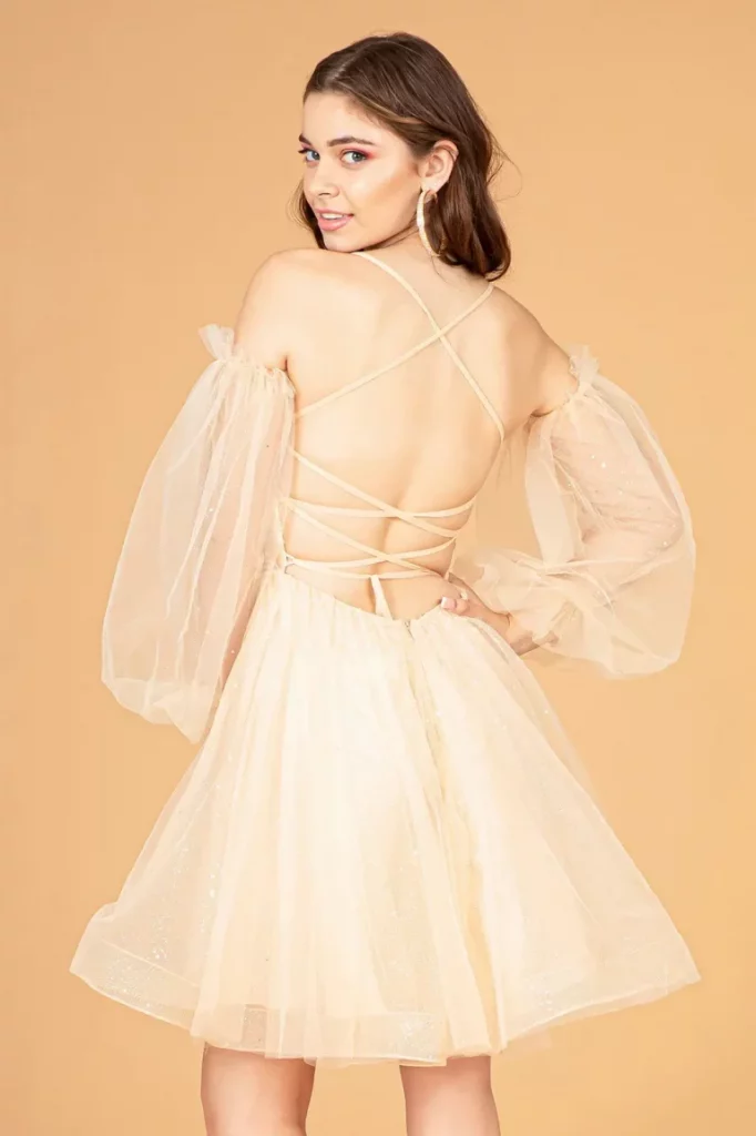 Rear view of woman in a Champagne Sheer Glitter Dress