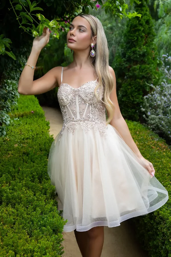 Embellished Glitter Mesh Sweetheart Neckline Dress