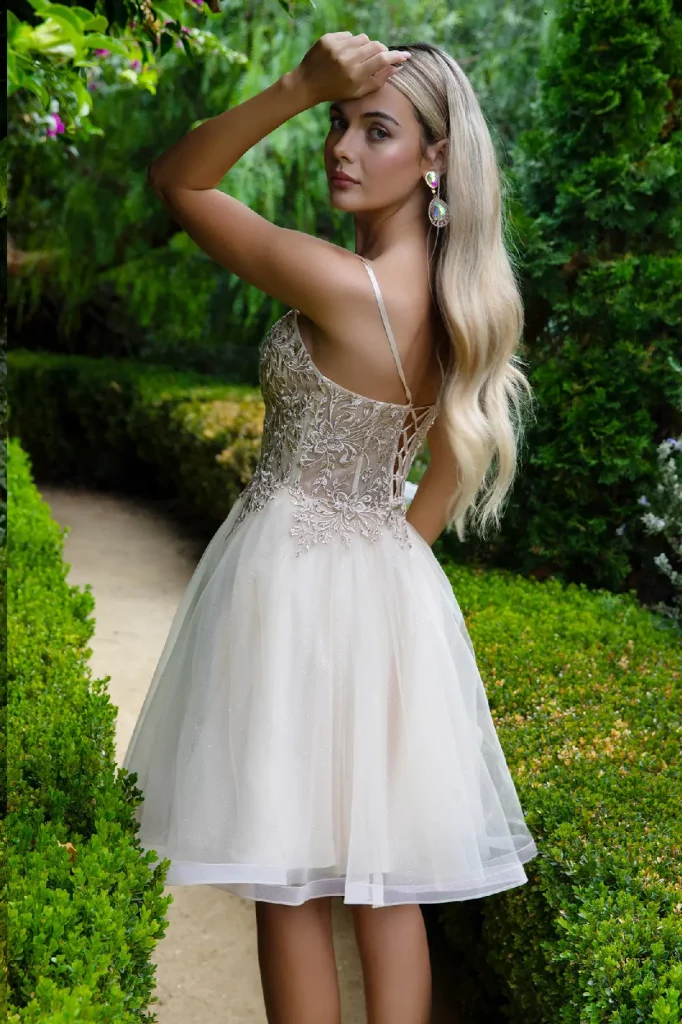 Back view of Embellished Glitter Mesh Sweetheart Neckline Dress